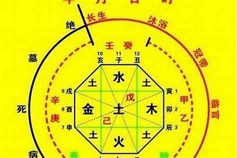 怎么看自己五行|生辰八字算命、五行喜用神查询（免费测算）